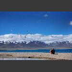 雪山圣湖