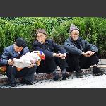 看啥呢？