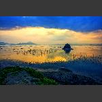 海面晨光