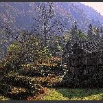 土家乡村
