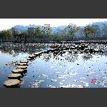 求命名8