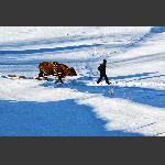 雪地山民