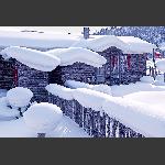 雪韵