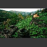 坡上下水井-3028