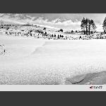 雪原