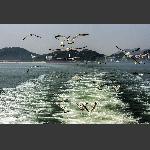 与你同行