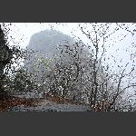 2013-七星山