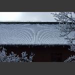 天门山雪景1--天门山大殿