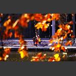 校园学子—交流