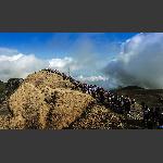 火山岩上的人潮