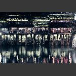夜凤凰