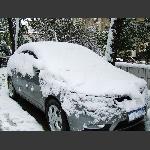 大雪遮住了我的眼