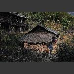 土家人家
