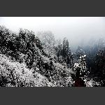 天子山春雪2