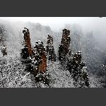 天子山春雪