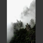 雾谩山更秀3