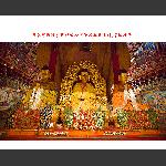 佛佑中国摄影线路网全体摄友马年吉祥、幸福安康！