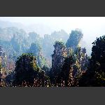 冬日天子山