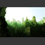 冬日天子山3