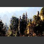 冬日天子山4
