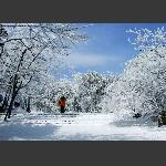 天门山雪