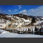 雪村松岭