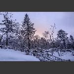 亚雪公路