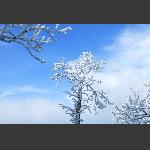 天门山雪3