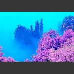 梦幻御笔峰