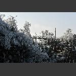天门山雪景8