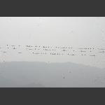 合鸣曲二