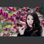 花儿为什么这样红···