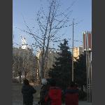 挂彩灯