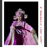 新春祝愿