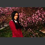 梅花仙子