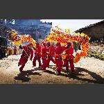 龙腾虎跃迎新年