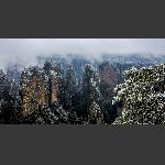 雪中天桥遗墩