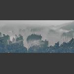 飘逸仙山