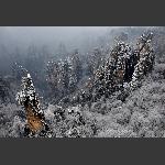 天子山·雪韵