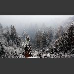 天子山春雪3