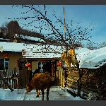 瑞雪兆丰年