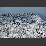 天门山雪
