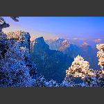 瑞雪迎春5