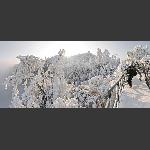 童话天门山