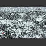 瑞雪兆丰年