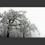 天门雪景16