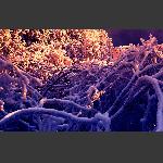 天门山雪韵