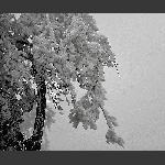 天门雪景10