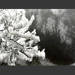 天门雪景3