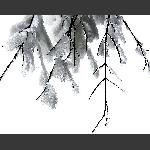 天门雪景14